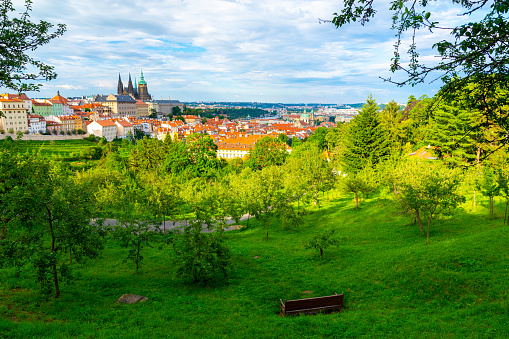 green garden on Old Town of Prague