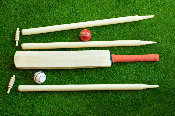 CRICKET GROUND WITH PLAYING PITCH  bat and ball cricket games backgrounds asia, india, illustration indian cricket CRICKET GROUND WITH PLAYING PITCH  bat and ball cricket games backgrounds asia, india, illustration indian cricket cricket stump photos stock pictures, royalty-free photos & images