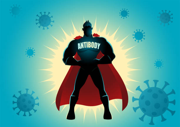 Superhero as antibody against viruses Vector cartoon illustration of a superhero as antibody against viruses. Covid-19, coronavirus concept action figure stock illustrations