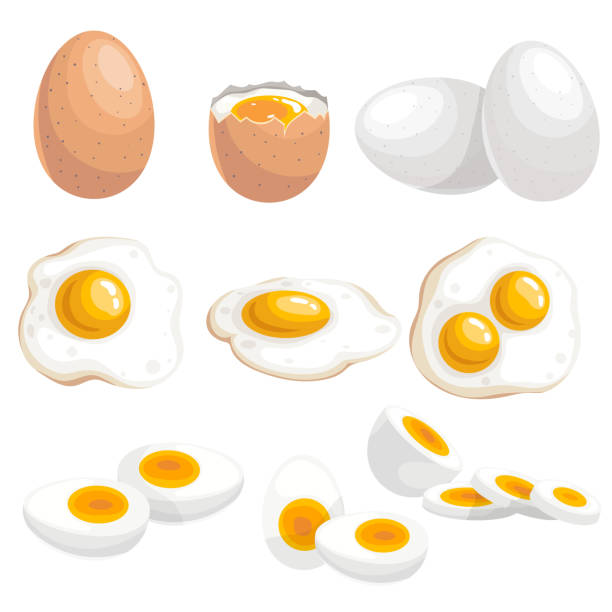 Ilustración de Conjunto De Huevos De Dibujos Animados Huevos Enteros Frescos Hervidos Fritos De Ojos Dobles Un Solo Y Un Grupo Rebanada Y Entera Ilustraciones Vectoriales Aisladas Sobre Fondo Blanco y más Ilustración de Conjunto De Huevos De Dibujos Animados Huevos Enteros Frescos Hervidos Fritos De Ojos Dobles Un Solo Y Un Grupo Rebanada Y Entera Ilustraciones Vectoriales Aisladas Sobre Fondo Blanco y más