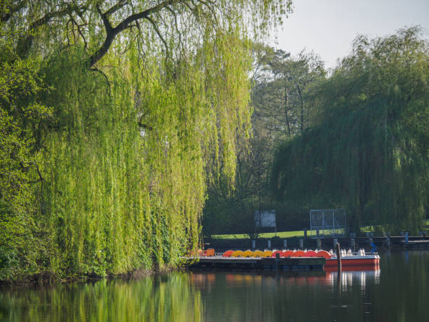 istock summer time at a small lake om Westphalia 1254186729