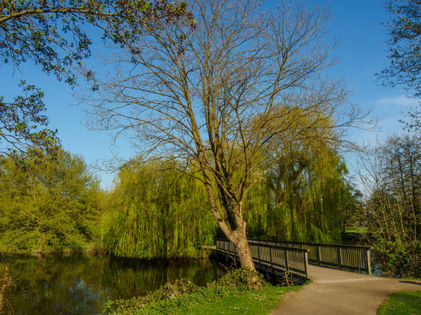 istock summer time at a small lake om Westphalia 1254186767