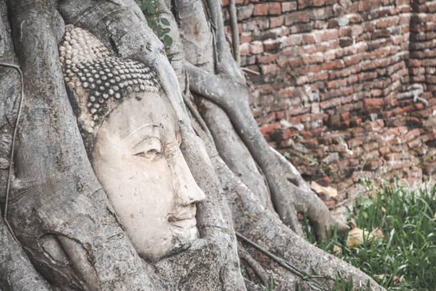 istock Buddha Head statue trapped in Bodhi Tree roots 1254187974