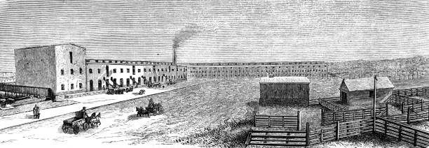 New York industrial slaughterhouse Illustration from 19th century meat packing industry photos stock pictures, royalty-free photos & images