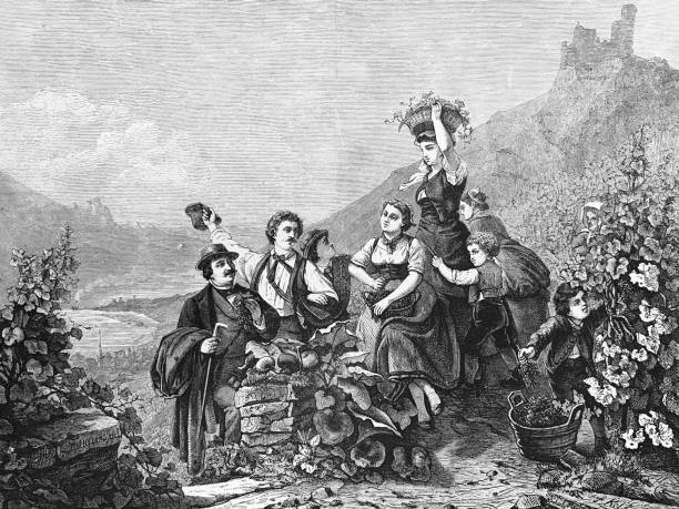 Grape harvest at the river Rhine Illustration from 19th century rhine river photos stock pictures, royalty-free photos & images