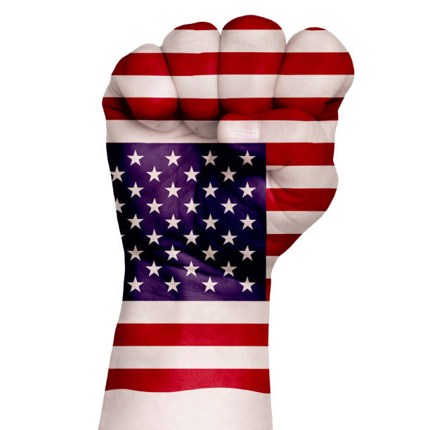 istock Fist of USA flag painted, multi purpose concept 1254194247