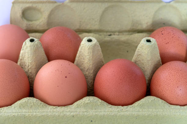 istock 7 brown eggs in green carton packaging 1254194663