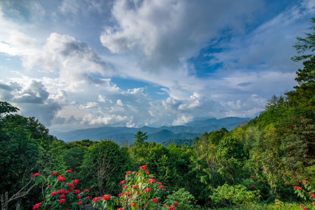 istock Top view landscape mountain and blue sky and beautiful clouds. 1254195829