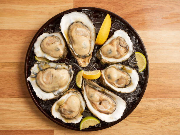 istock Oysters on ice and lemon in a tray on wooden table 1254198340