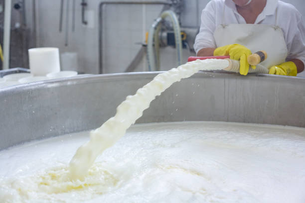 istock Cheese in cheese mold. Making cheese in Italy. 1254198544