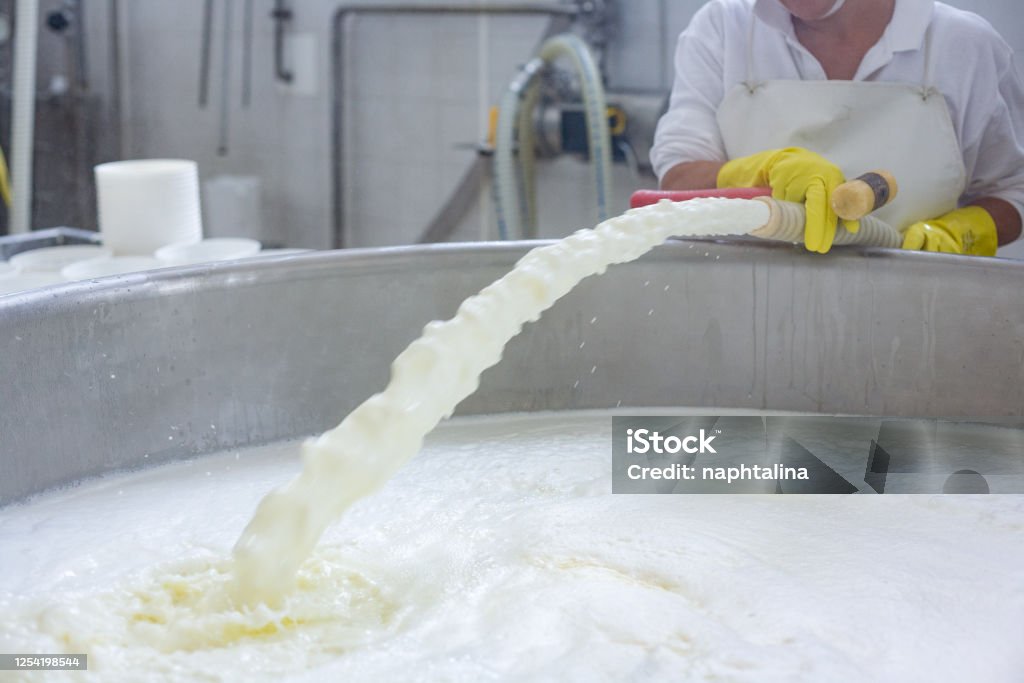 Cheese in cheese mold. Making cheese in Italy. Factory Stock Photo
