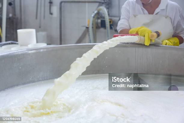 Cheese In Cheese Mold Making Cheese In Italy Stock Photo - Download Image Now - Factory, Food Processing Plant, Milk