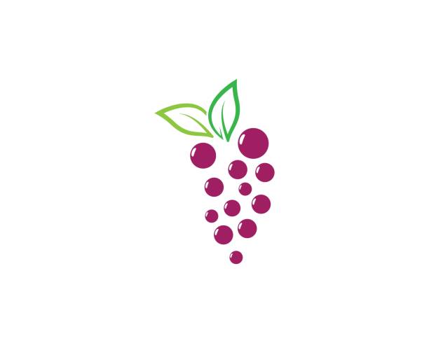 шаблон логотипа винограда - vinifera stock illustrations