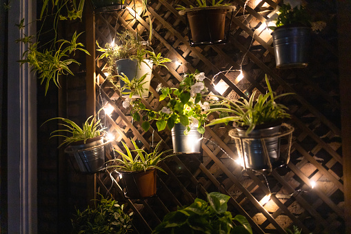 Jardín vertical con luces de hadas en la ciudad durante la noche. photo