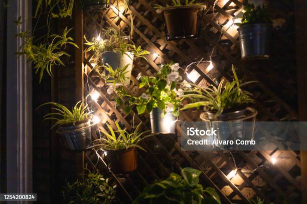 Vertical Garden With Fairy Lights In The City During Night Time Stock Photo - Download Image Now