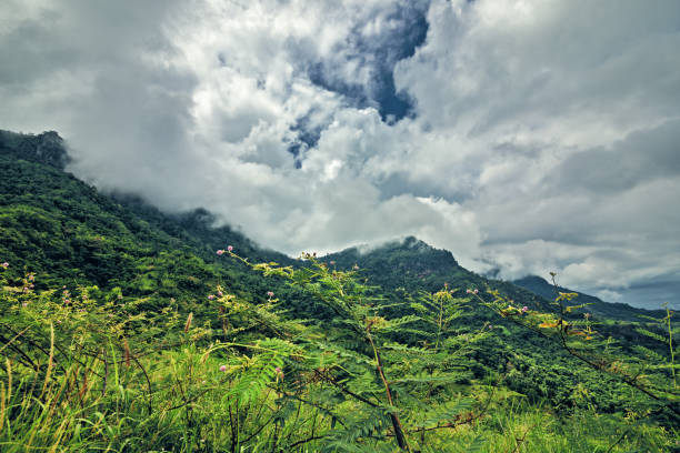 istock mountain and beautiful rain clund . Landscape background. 1254201001