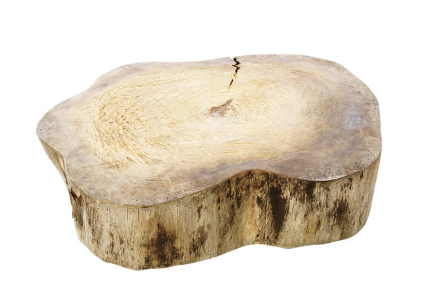 istock Grunge wooden cutting board isolated 1254207177