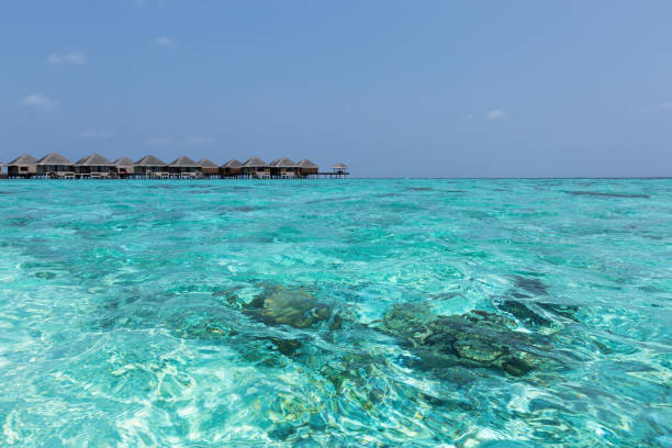 istock beach with water bungalows at maldivian island 1254207218
