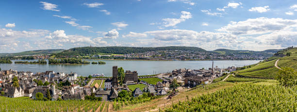 aerial view to scenic vineyards in ruedesheim - 3494 imagens e fotografias de stock