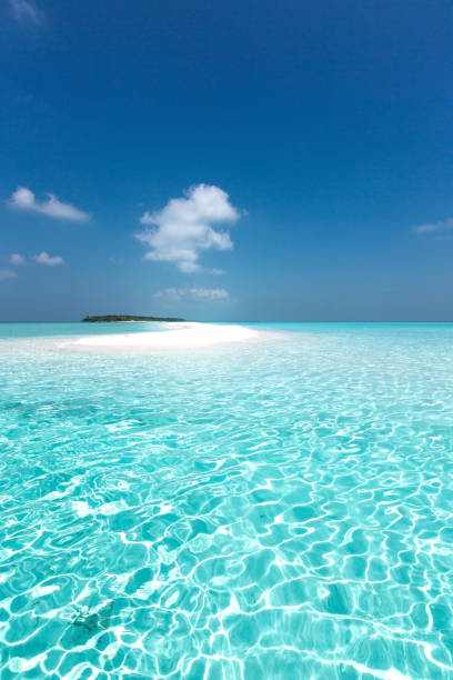 istock Maldivian sandbank in Indian ocean 1254208096