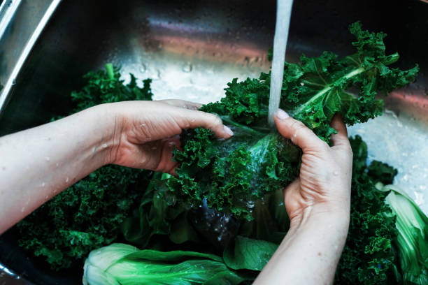 istock Washing fresh green kale leaves closeup 1254208283