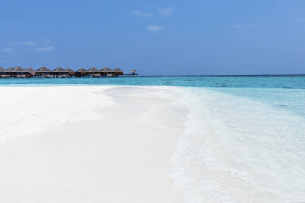 istock beach with water bungalows at maldivian island 1254208410
