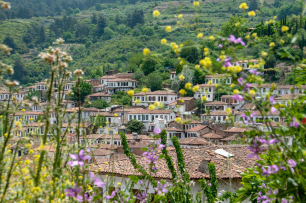 istock Village houses 1254209190