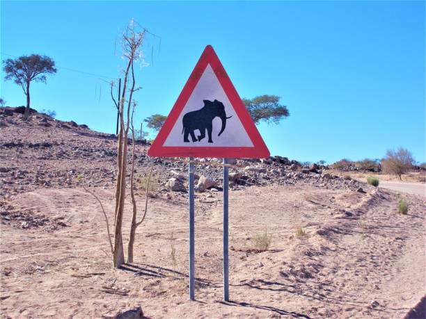 istock Elephant crossing road sign 1254212595