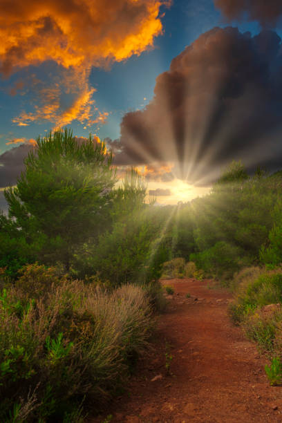 istock Rays of the sun during a sunrise in a mountain forest 1254212868