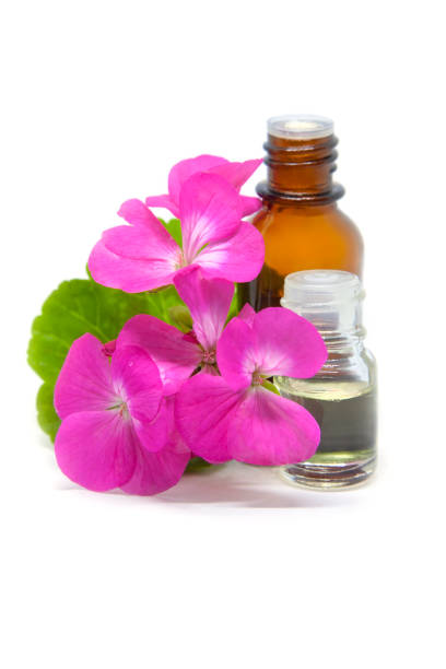 istock Bottles with geranium essential oil, fresh flower and leaf on a white 1254219052