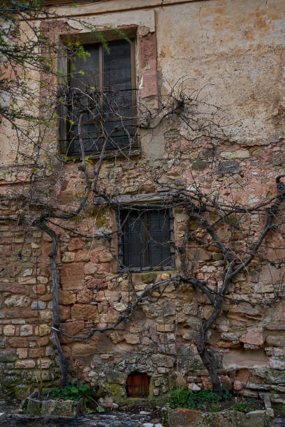 istock Back of the house with windows, covered with branches 1254222017