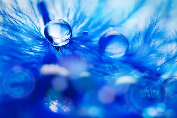 Photo of Beautiful transparent water drops or rain water on soft background. Macrophotography. Desktop background. Selective focus.