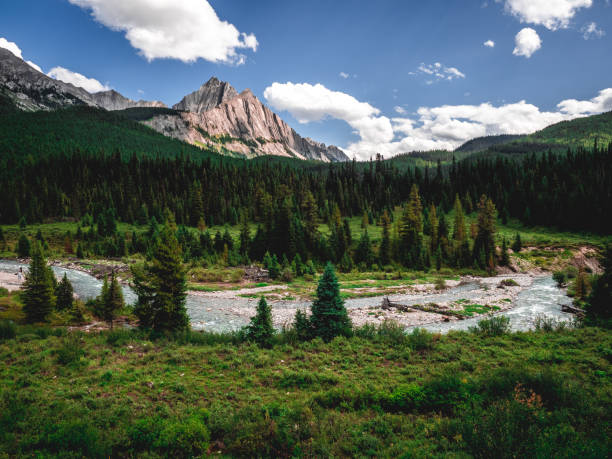 Mount Ishbel rises above the forest