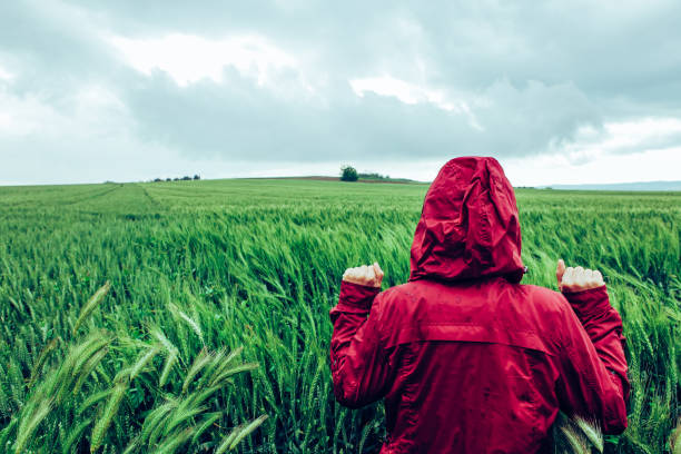 istock Woman in Wheat Field 1254225382