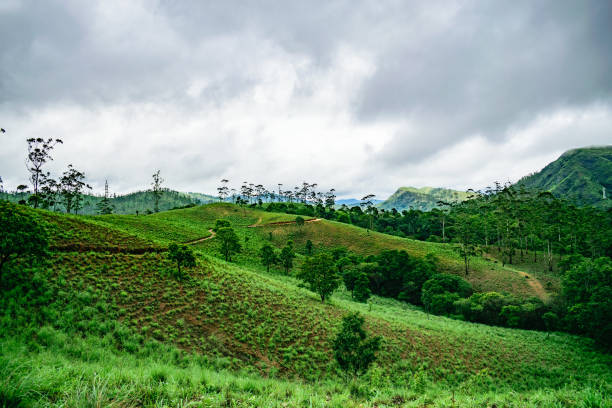 istock Cloudy Mountain and Green Valley, Thekkady. 1254226900