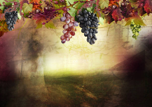 Beautiful autumn background  with grapes and leaves