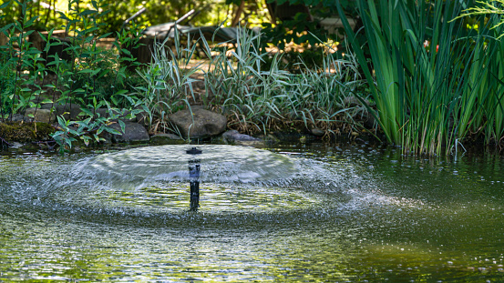 Umbrella Fountain on the green surface of the pond in the old shady garden. Freshness of water jets creates a mood of relaxation and happiness.