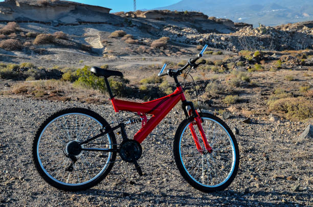 istock Full Suspension Mountain Bike 1254233096