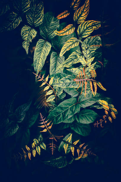 istock Colorful leaves background 1254233790