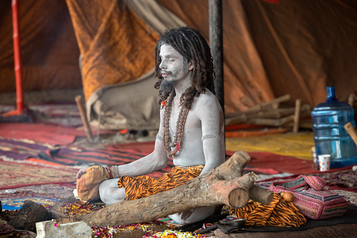 Sadhu (holy man) sitting in lotus position, on the floor of his tent, in Juna Akhada camp. He is wearing a tiger patterned fabric around his waist. In previous generations, that would have been a true one.  Photo taken during Kumbh Mela 2019 in Prayagraj (Allahabad), India. \nKumbh Mela or Kumbha Mela is a major pilgrimage and festival in Hinduism, and probably the greatest religious festival in the World. It is celebrated in a cycle of approximately 12 years at four river-bank pilgrimage sites: the Allahabad (Ganges-Yamuna Sarasvati rivers confluence), Haridwar (Ganges), Nashik (Godavari), and Ujjain (Shipra). The festival is marked by a ritual dip in the waters, but it is also a celebration of community commerce with numerous fairs, education, religious discourses by saints, mass feedings of monks or the poor, and entertainment spectacles. Pilgrims believe that bathing in these rivers is a means to cleanses them of their sins and favour a better next incarnation.