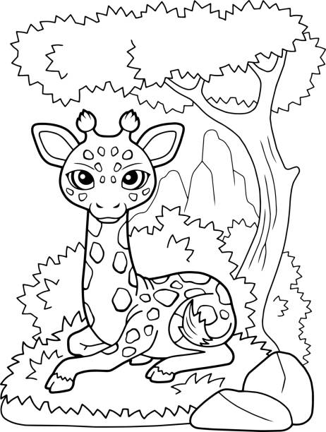 illustrations, cliparts, dessins animés et icônes de girafe mignonne se trouve sur l’herbe, livre de coloriage - zoo animal safari giraffe