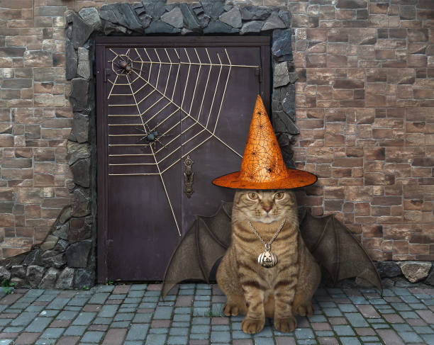 istock Cat with bat wings near castle 1254241607