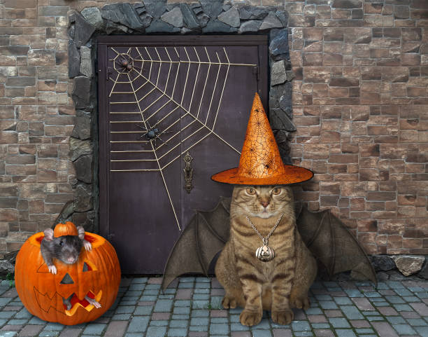istock Cat with rat near castle 1254241612