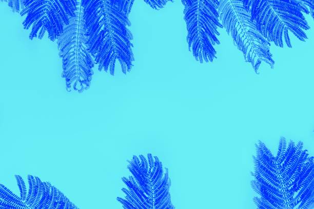 istock Deep blue palm leaves on light aquamarine background. Copy space 1254247907