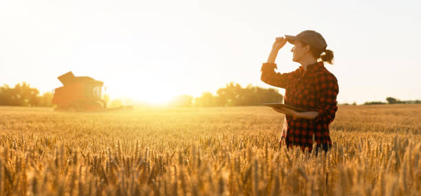 istock Farmer with digital tablet on a background of harvester 1254248405