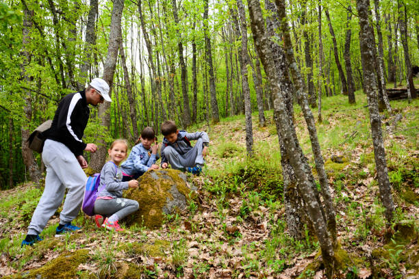 istock Father with children walking in the forest. 1254250342