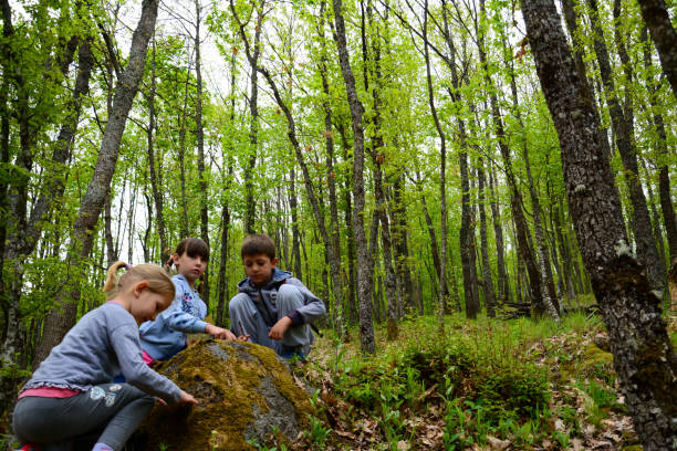istock Children Hikers Admiring Sunbeams Streaming Through Trees. 1254250363