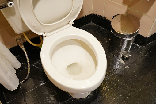 Toilet with the lid open