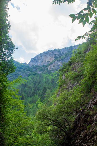 istock valley of peace 1254252070
