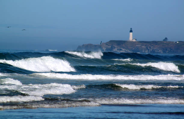 istock Waves crashing on shore near lighthouse on Pacific coastline 1254254086